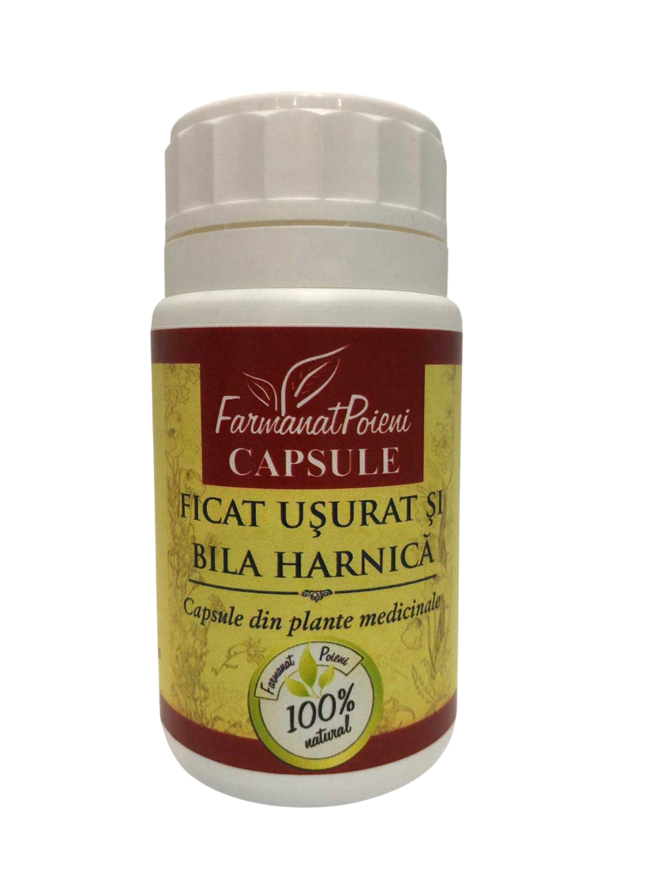Capsule - Ficat Usurat si bila harnica